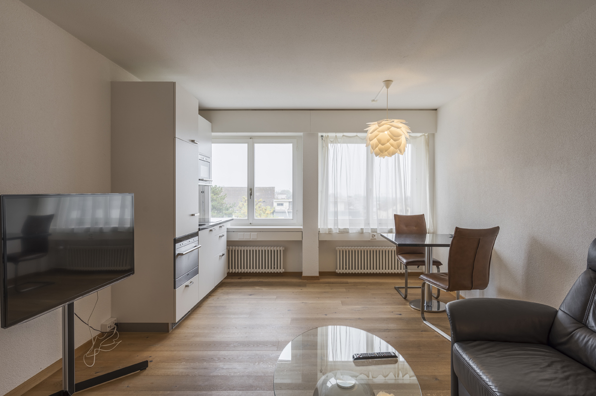 Solothurn apartment living area